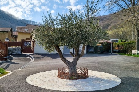 bordure de jardin bordurette extérieur clôture arbre décoration de jardin