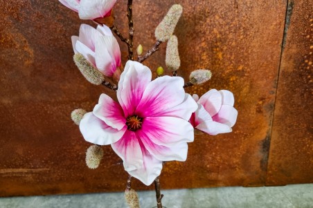 fleur magnolia rose vendu à l'unité décoration florale