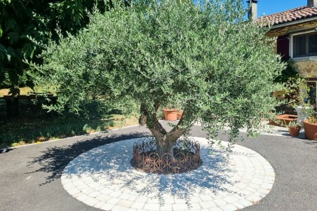 bordure de jardin bordurette extérieur clôture arbre décoration de jardin