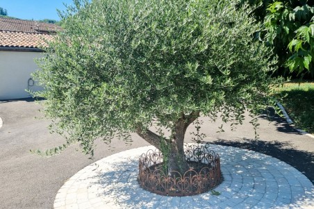 bordure de jardin bordurette extérieur clôture arbre décoration de jardin