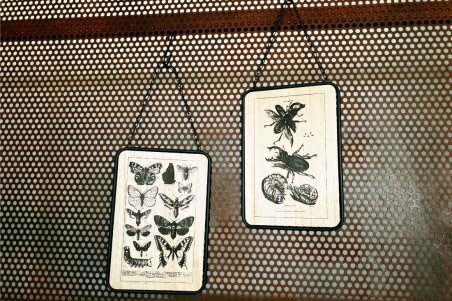 Tableau bois métal insectes style botanique déco nature indus cabinet de curiosité steampunk