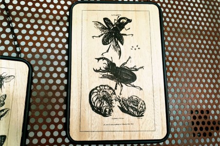 Tableau bois métal insectes style botanique déco nature indus cabinet de curiosité steampunk