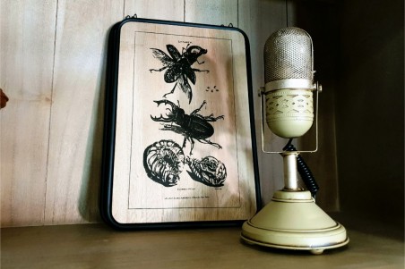 Tableau bois métal insectes style botanique déco nature indus cabinet de curiosité steampunk