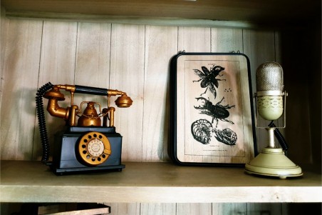 Tableau bois métal insectes style botanique déco nature indus cabinet de curiosité steampunk