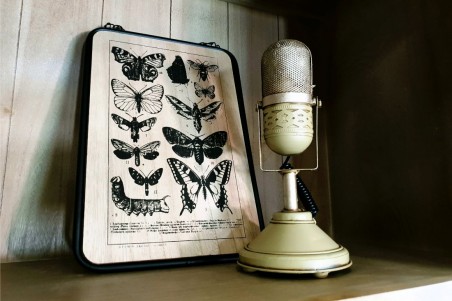 Tableau bois métal papillons style botanique déco nature indus cabinet de curiosité steampunk