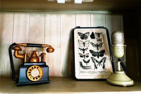 Tableau bois métal papillons style botanique déco nature indus cabinet de curiosité steampunk