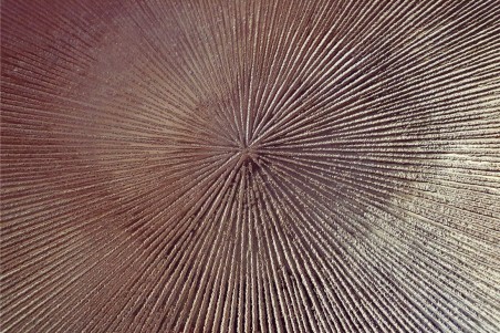 Tables auxiliaires vintage métal doré déco rétro style industriel tables d'appoint tables gigognes